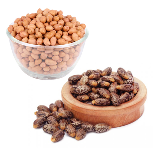 Oil Seeds, Cereals & Others Products