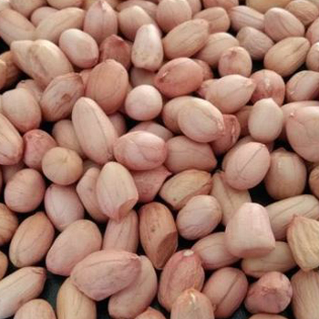 Peanut Java